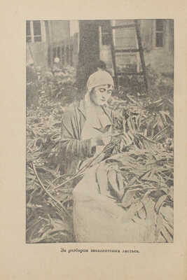 Островский Б. Советские субтропики / Предисл. А.М. Лежавы; переплет и фронтиспис худож. Н. Травина. [М.; Л.], 1937.